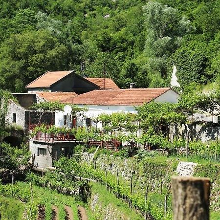 Country House Dajkovic Dupilo Zewnętrze zdjęcie